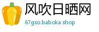 风吹日晒网